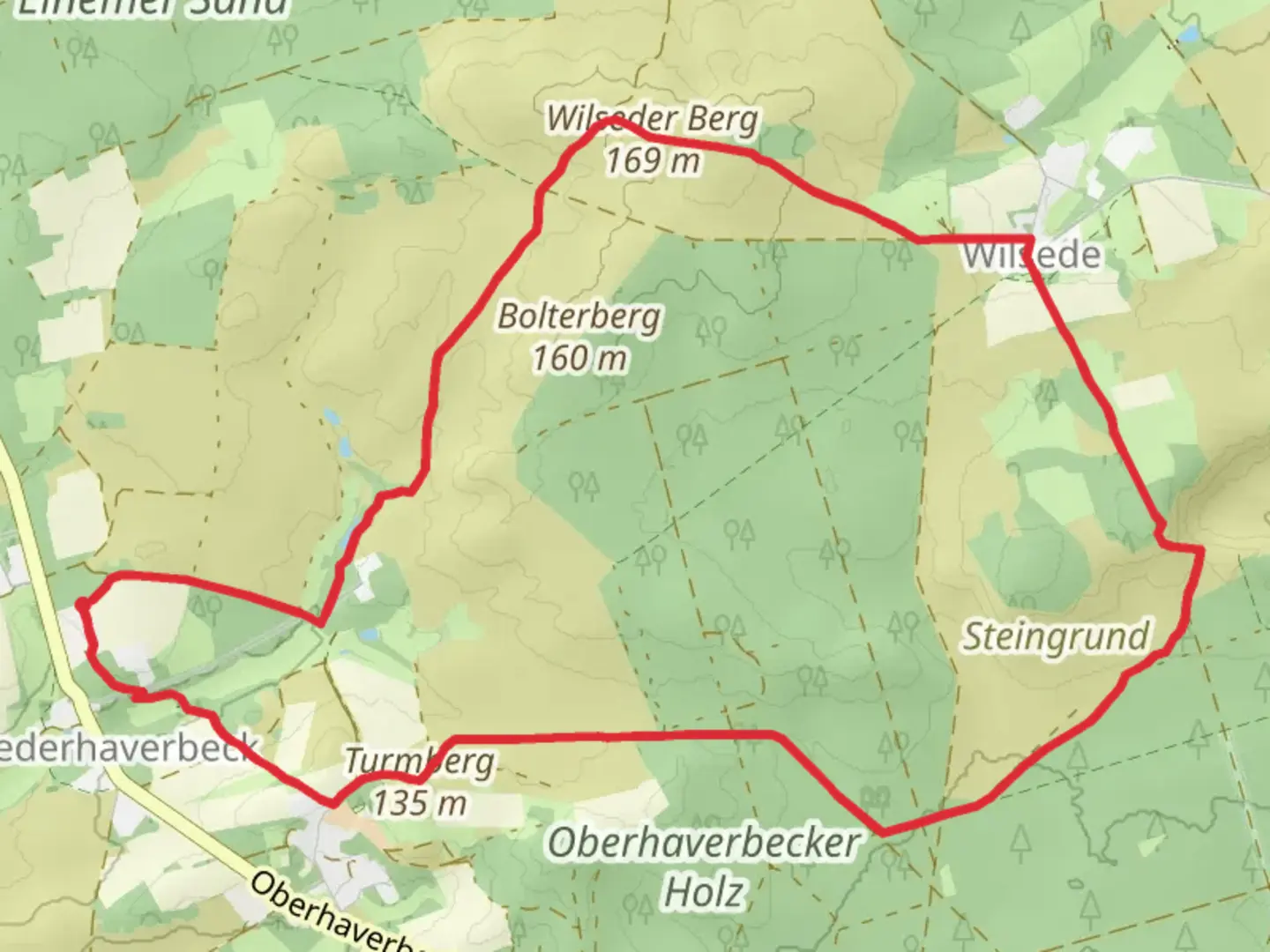 An image depicting the trail Stattberg, Wilseder Berg, Totengrund and Oberhaverbecker Holz Loop and its surrounding area.