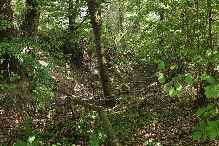 Kulturweg Sailauf Loop