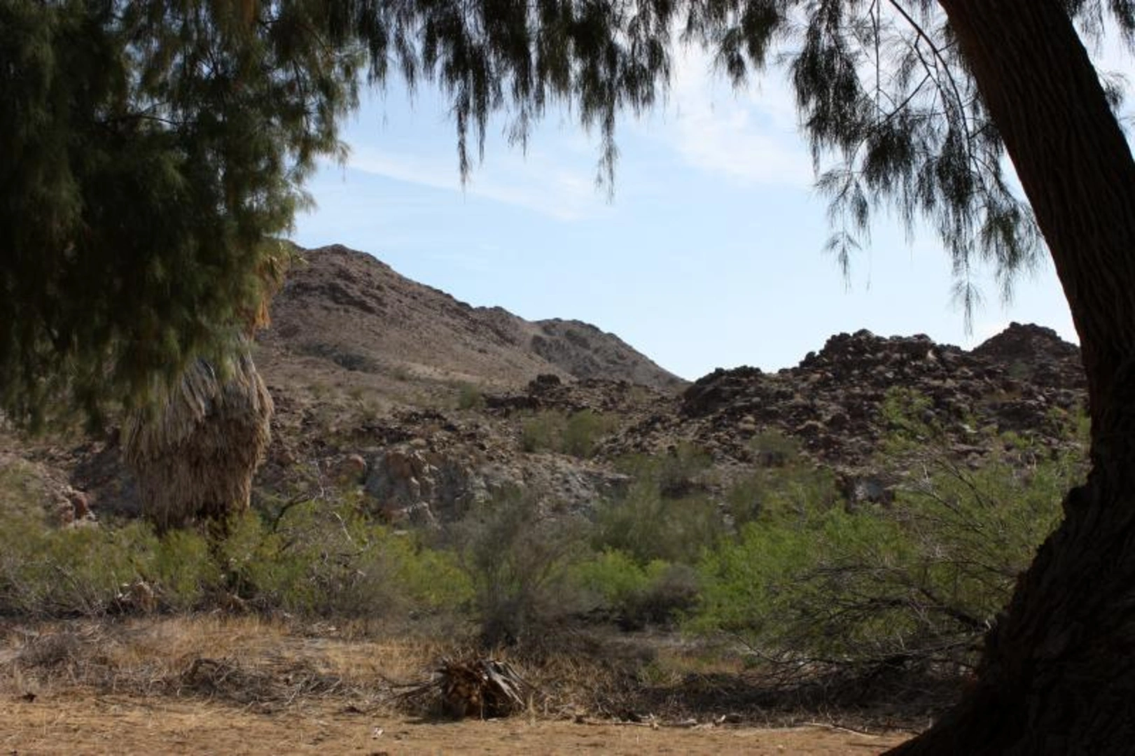 An image depicting the trail Red Cloud Mine Road Trail and its surrounding area.