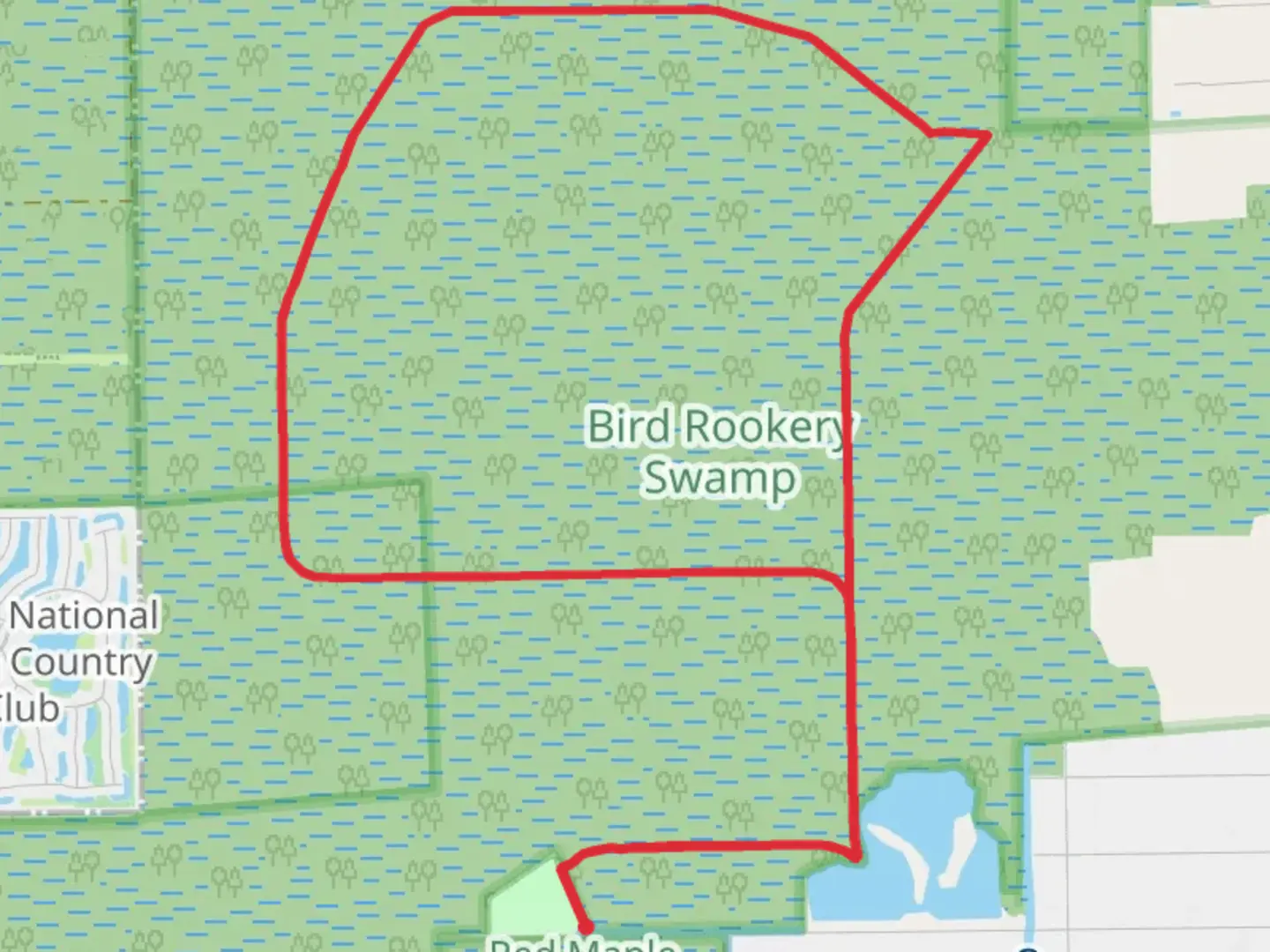 An image depicting the trail Bird Rookery Swamp Loop Trail and its surrounding area.