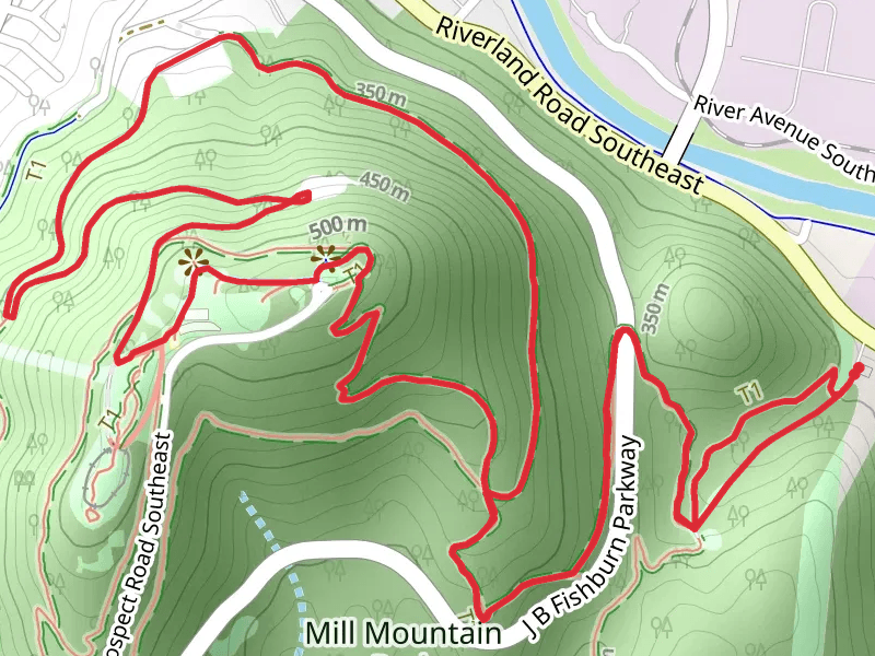 Mill mountain via Wood Thrush Trail and Start Trail Loop
