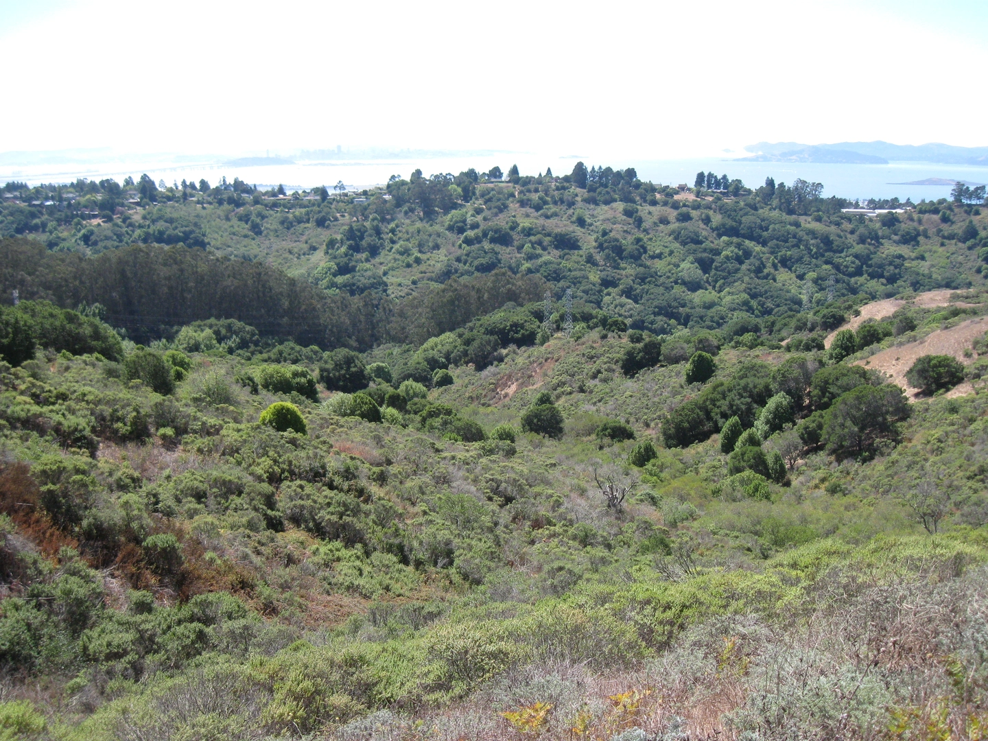 An image depicting the trail Wildcat Peak Loop and its surrounding area.