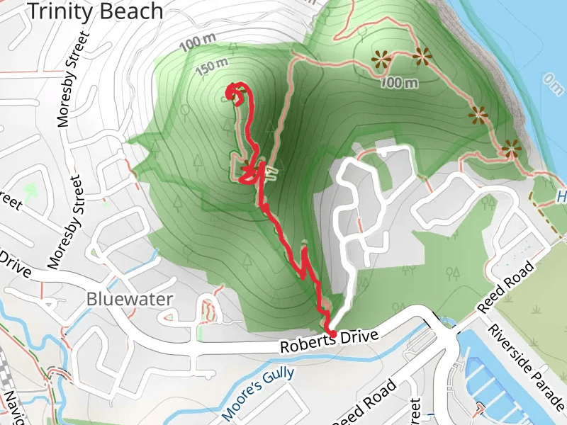 Woodland Walking Track