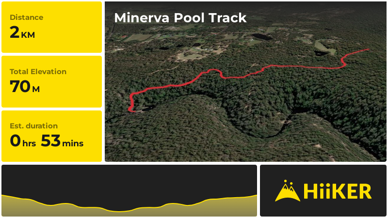 Minerva Pool Track | Sydney | New South Wales