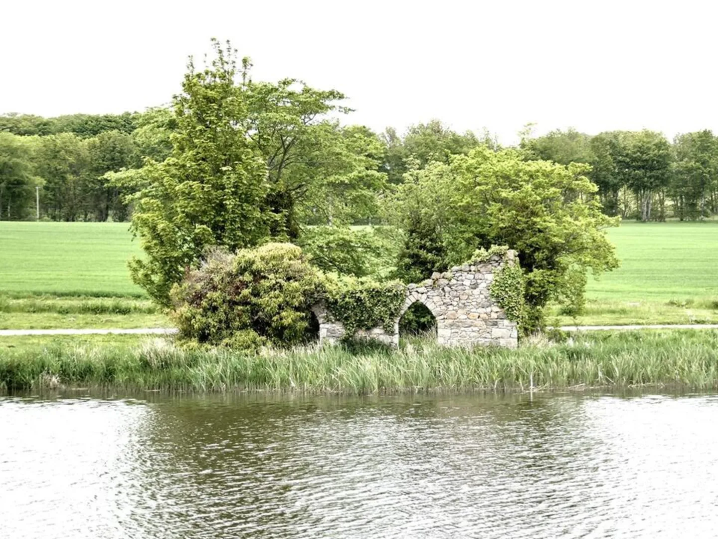 An image depicting the trail Pitfour Lake Loop and its surrounding area.