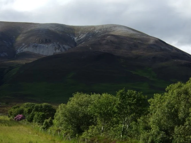 Nephin Loop from Boggey