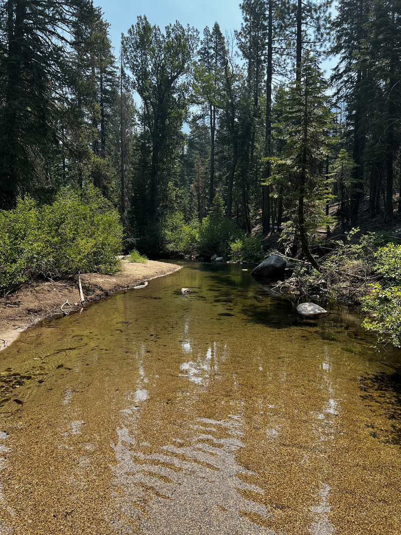 An image depicting the trail Clark Fork Trail and its surrounding area.