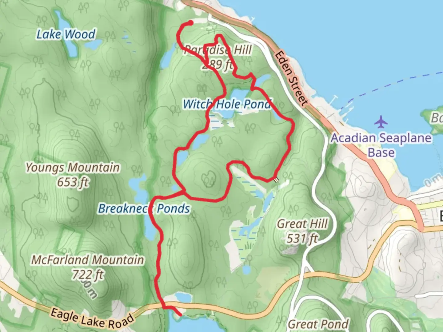An image depicting the trail Eagle Lake and Witch Hole Pond Loop and its surrounding area.