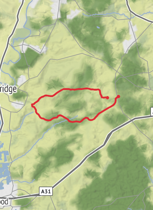 New Forest Hiking mobile static map