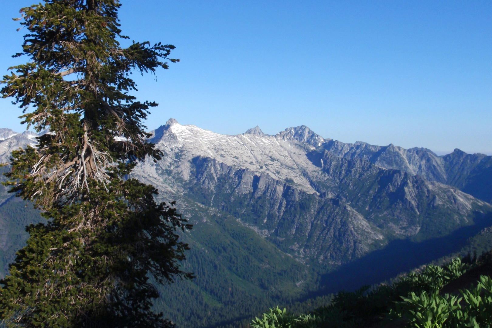 An image depicting the trail Horseshoe and Ward Lakes via Yellow Rose and Sunrise Creek Loop Trail and its surrounding area.