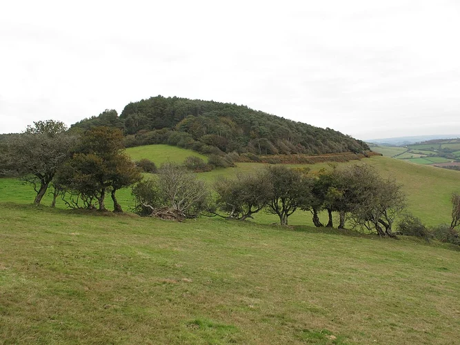 Charlmouth, Stanton St Gabriel Country Park and Langdon Hill Walk