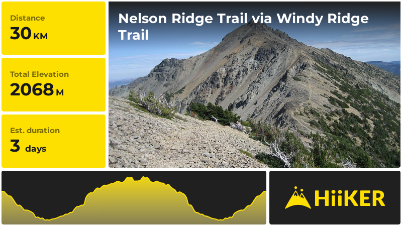 Nelson Ridge Trail via Windy Ridge Trail | Yakima County | Washington