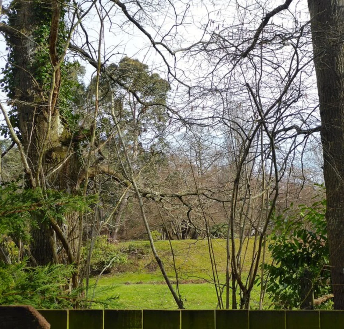 An image depicting the trail Park Wood and Fletching Country Park Loop and its surrounding area.