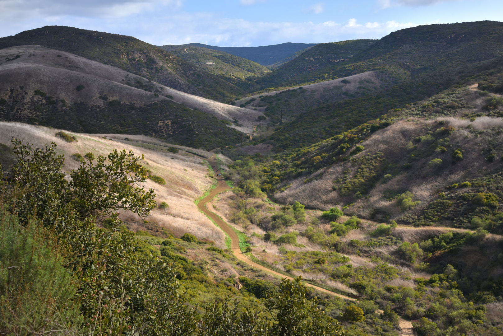 An image depicting the trail No Name Ridge, Moro Ridge Spur and Fence Line Loop and its surrounding area.