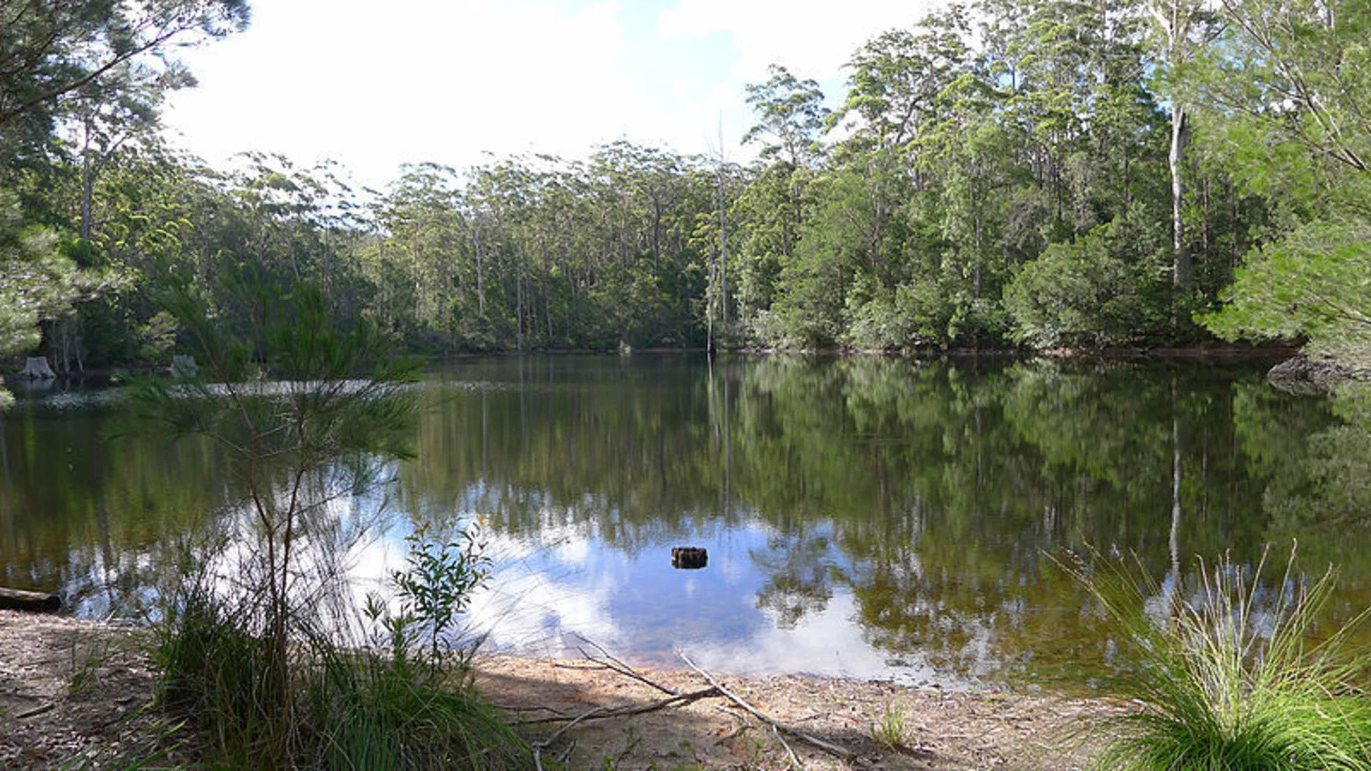 An image depicting the trail Rayners Walking Track and its surrounding area.