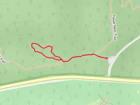 Clearfork Woodland Loop Trail