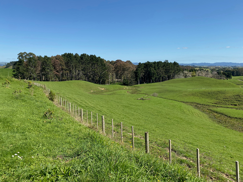 Taitua Arboretum Walk