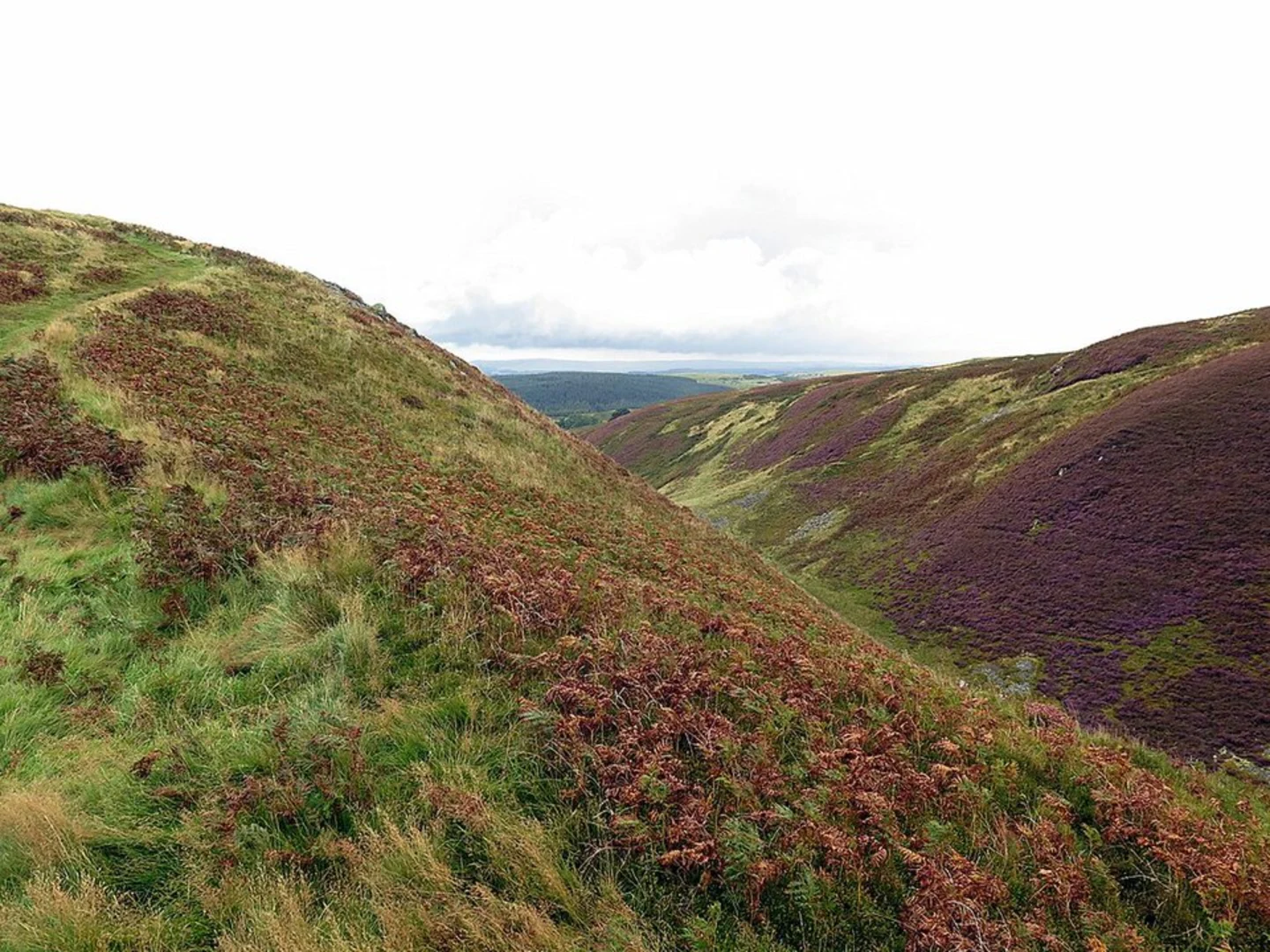 An image depicting the trail Humbleton Hill via Saint Cuthbert's Way and its surrounding area.