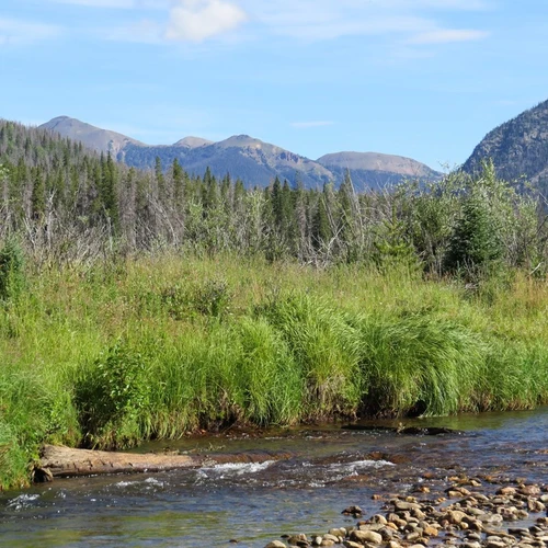 Big Creek - Big Timber Creek Loop