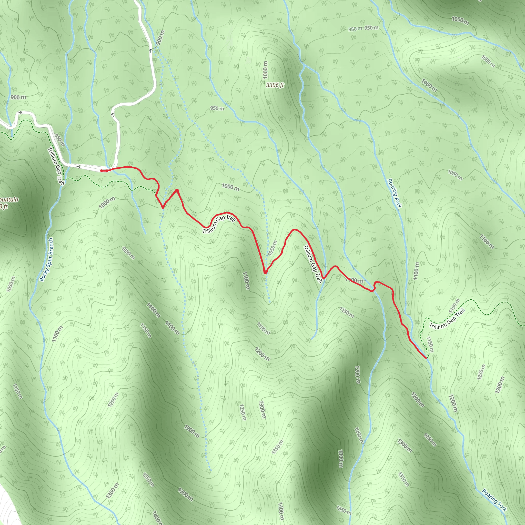 Roaring Fork via Trillium Gap Trail mobile static map