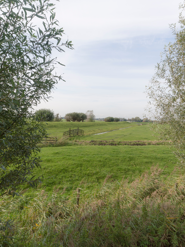 Abcoude to Uithoorn via Grote Wije, Noordplas and Fort Waver - Amstel