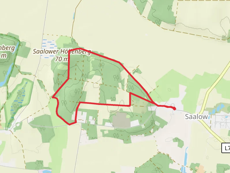 Saalower Hollenberg Loop