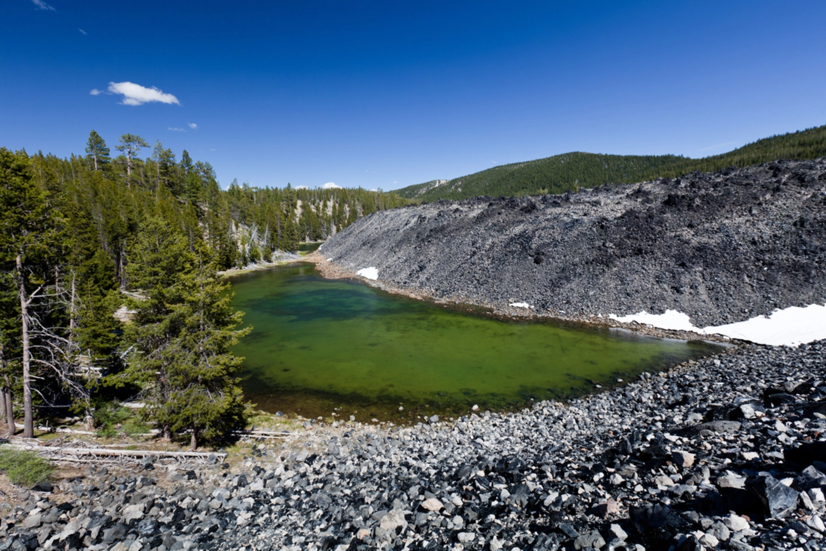 An image depicting the trail Lakeshore Trail and its surrounding area.