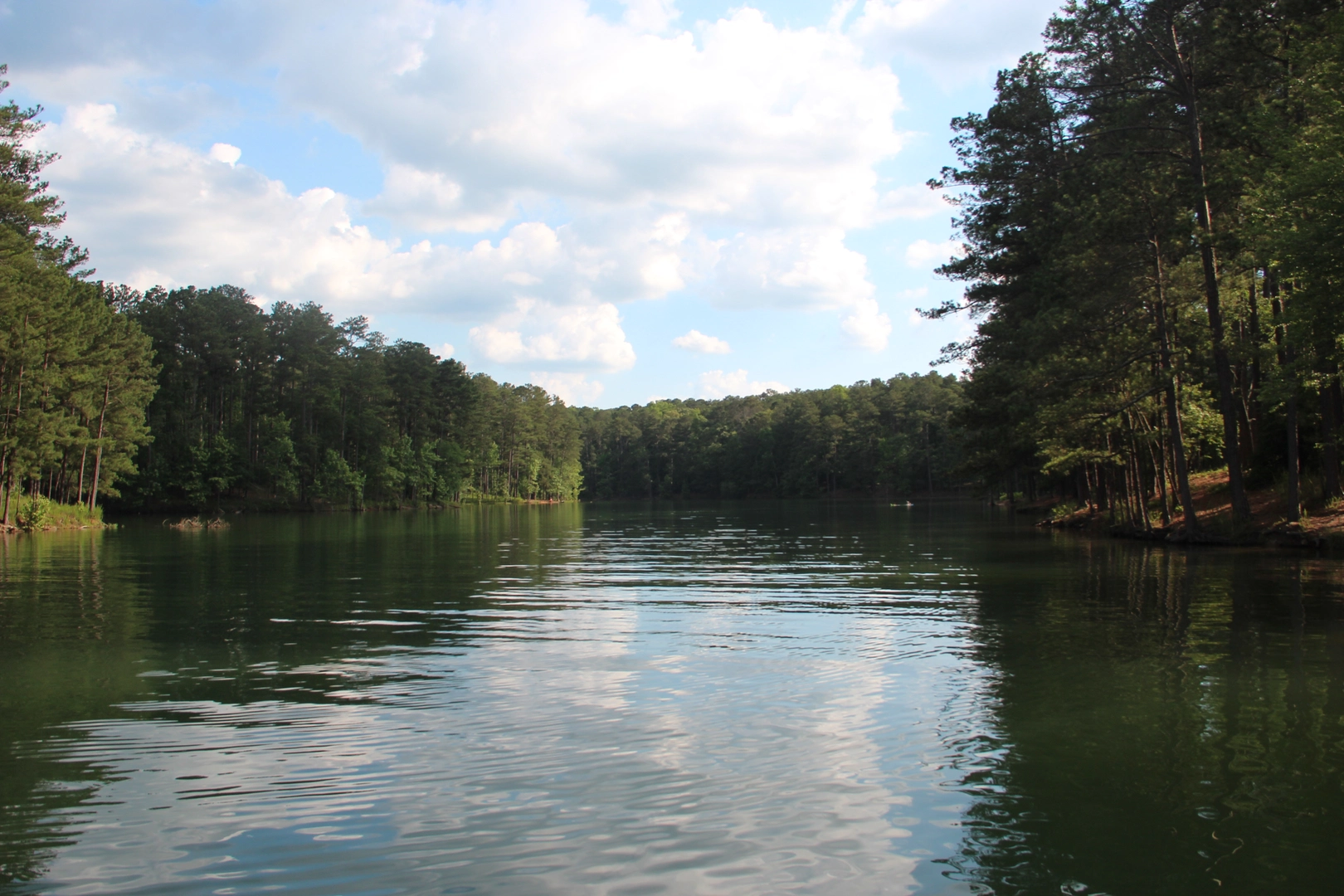 An image depicting the trail Lakeside Loop Trail and its surrounding area.