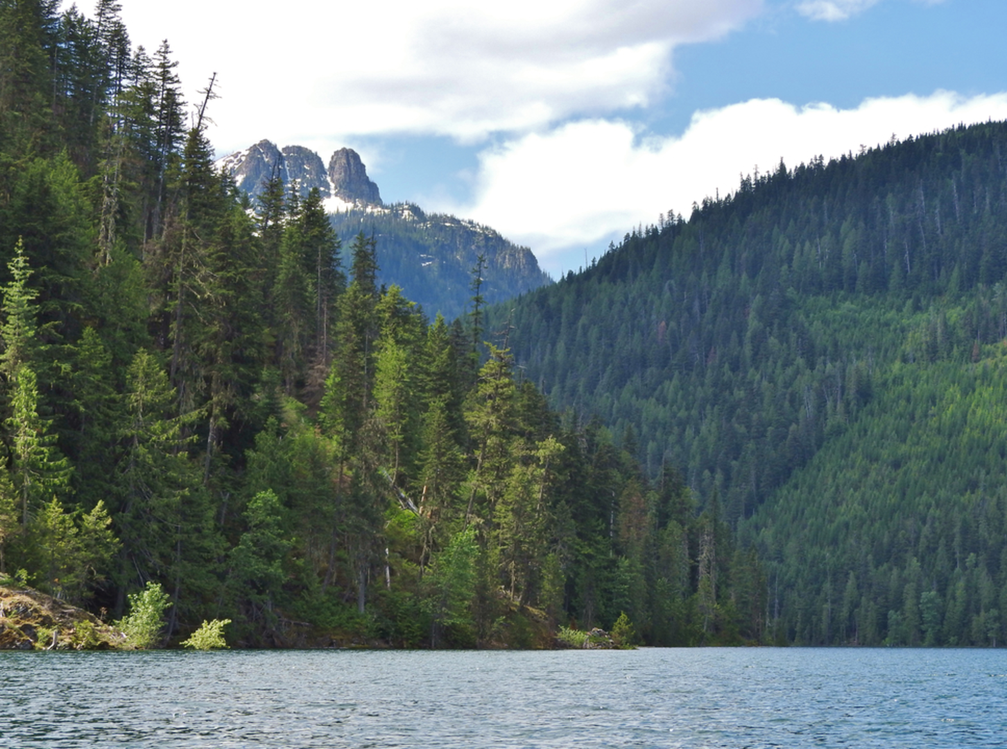 An image depicting the trail Spruce and Spar Lake Trail and its surrounding area.
