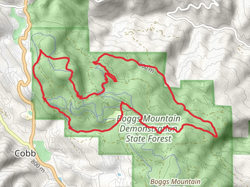 Boggs Mountain Demonstration State Forest Loop