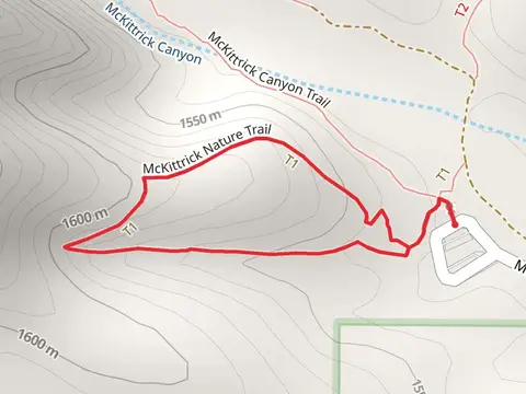 McKittrick Nature Loop Trail