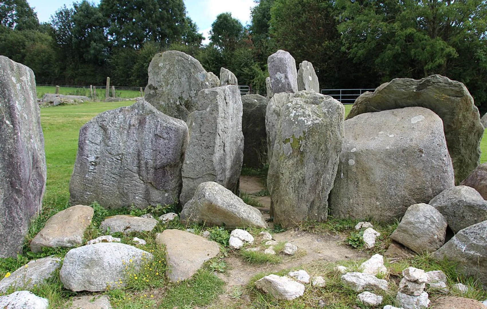 An image depicting the trail Knockroe Out and Back and its surrounding area.