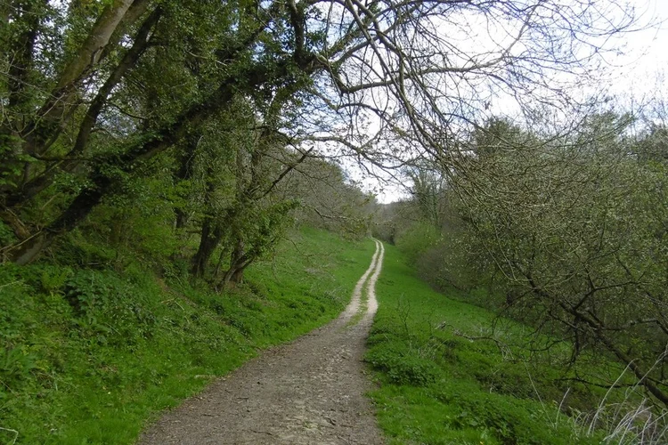 Mapperton House Loop
