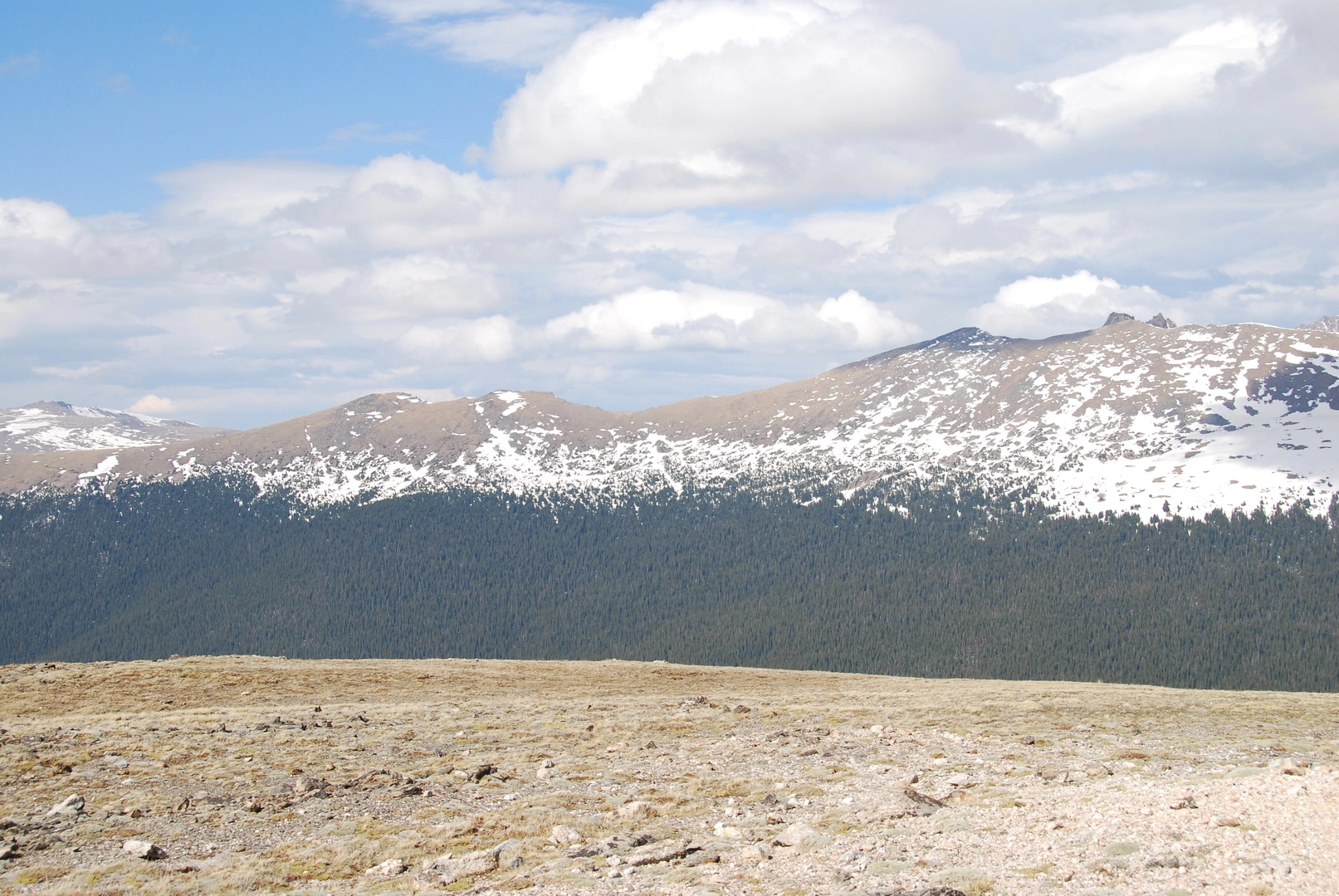 An image depicting the trail North Fork of The Big Thompson Loop and its surrounding area.