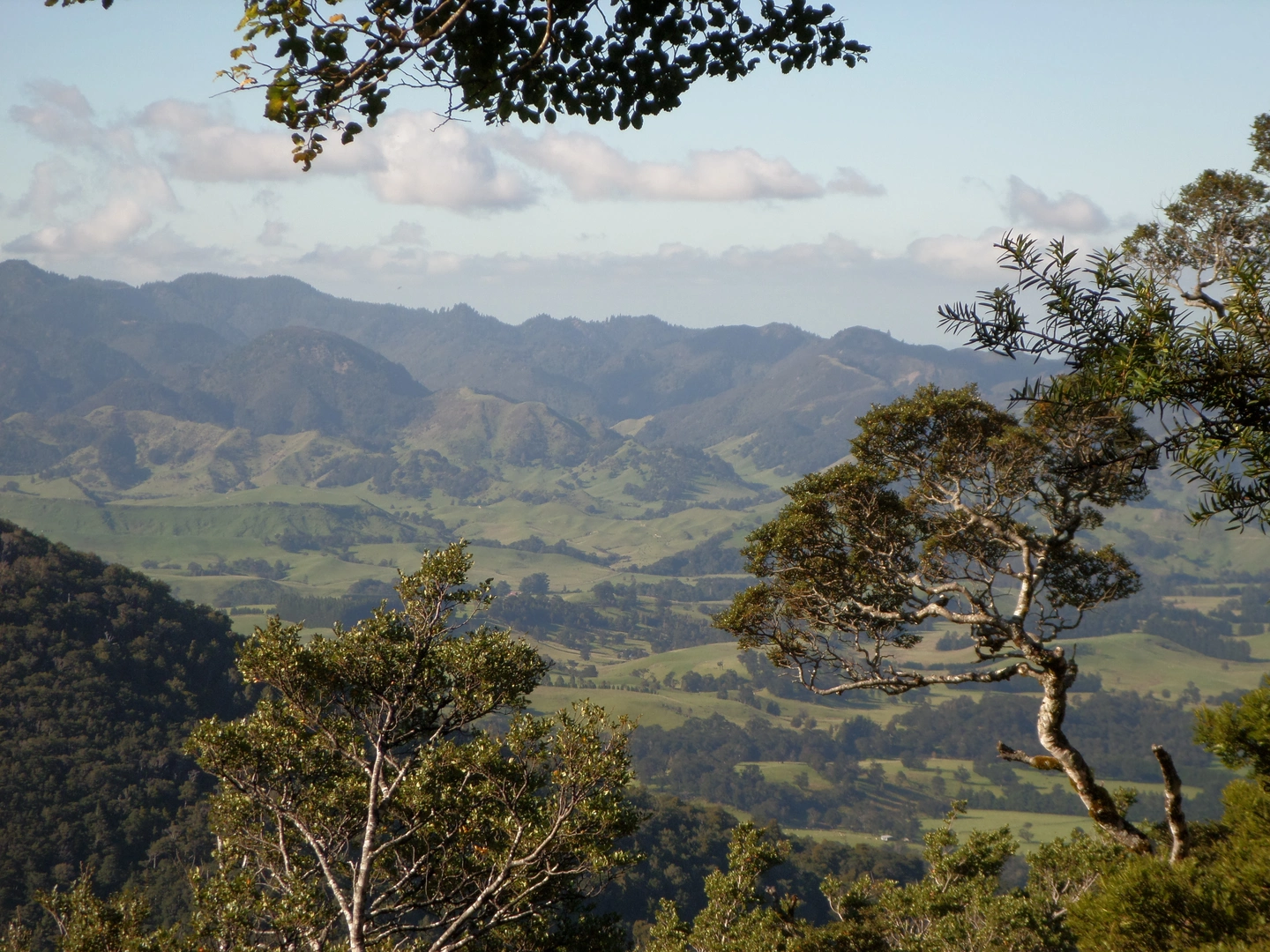An image depicting the trail Kaweka J Summit Track and its surrounding area.