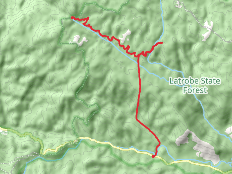Starling Gap to High Lead Trail