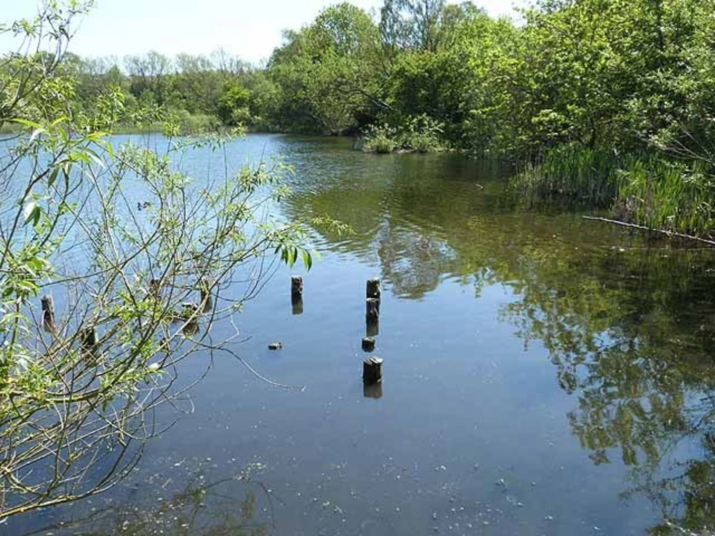 An image depicting the trail Rainton Meadows Loop and its surrounding area.