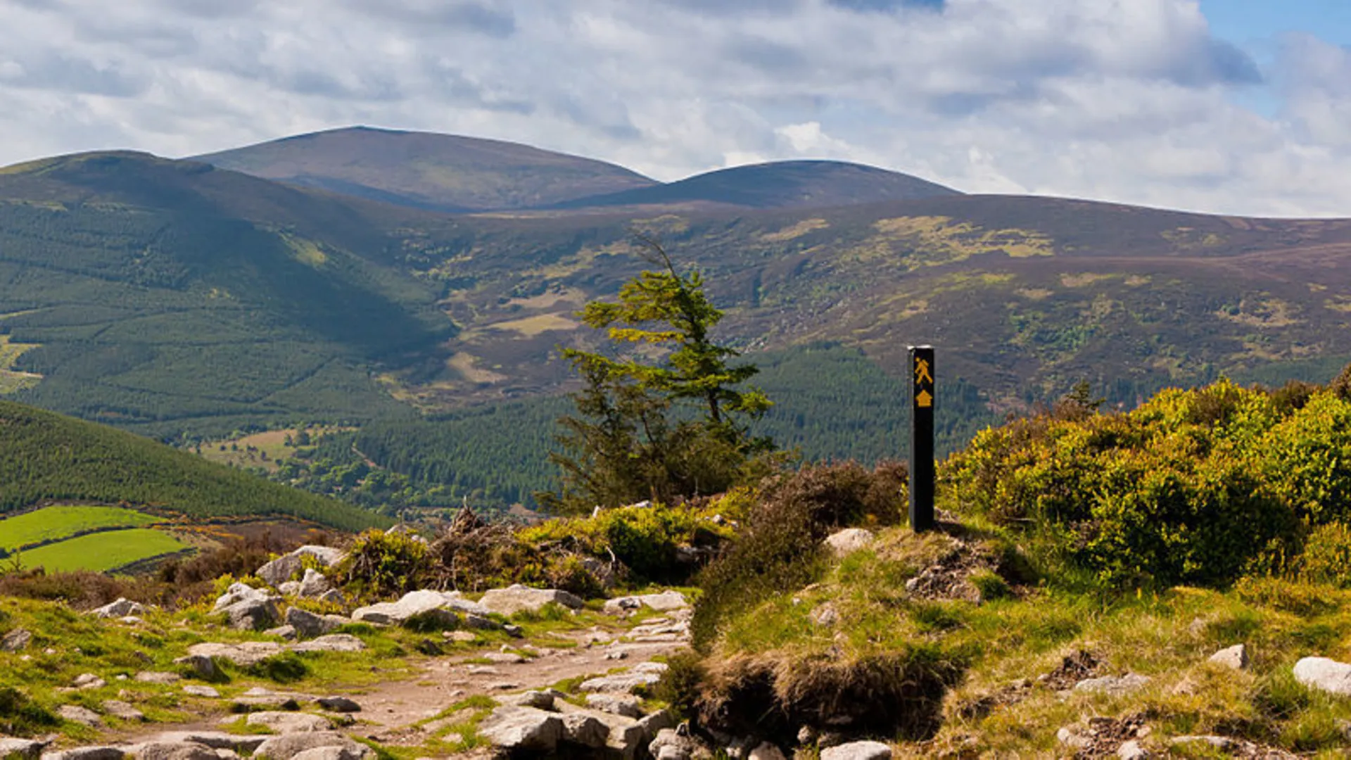 An image depicting the trail Cloon Wood Loop and its surrounding area.