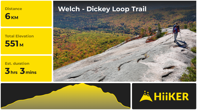 Welch - Dickey Loop Trail | Grafton County | New Hampshire
