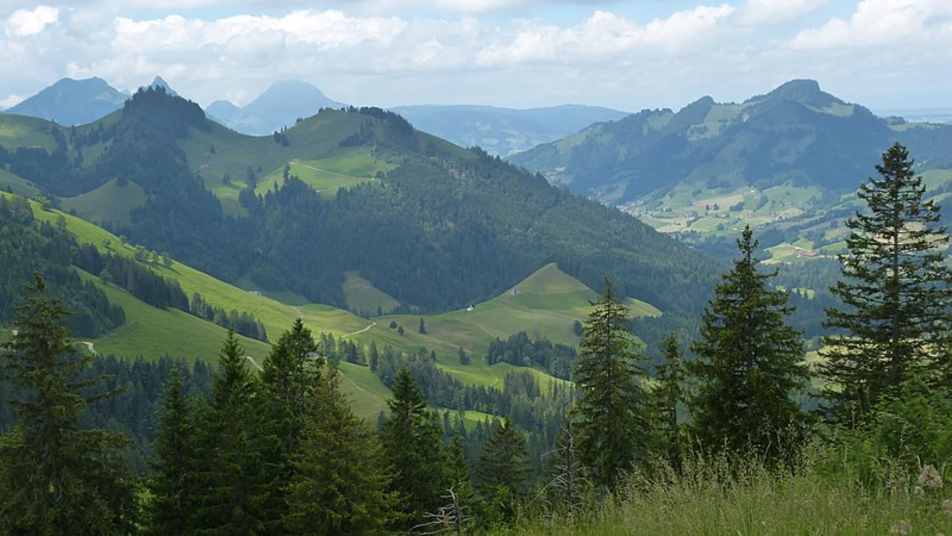 An image depicting the trail Charmey to Vounetse and its surrounding area.