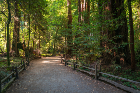 River Trail Pedestrian Trail
