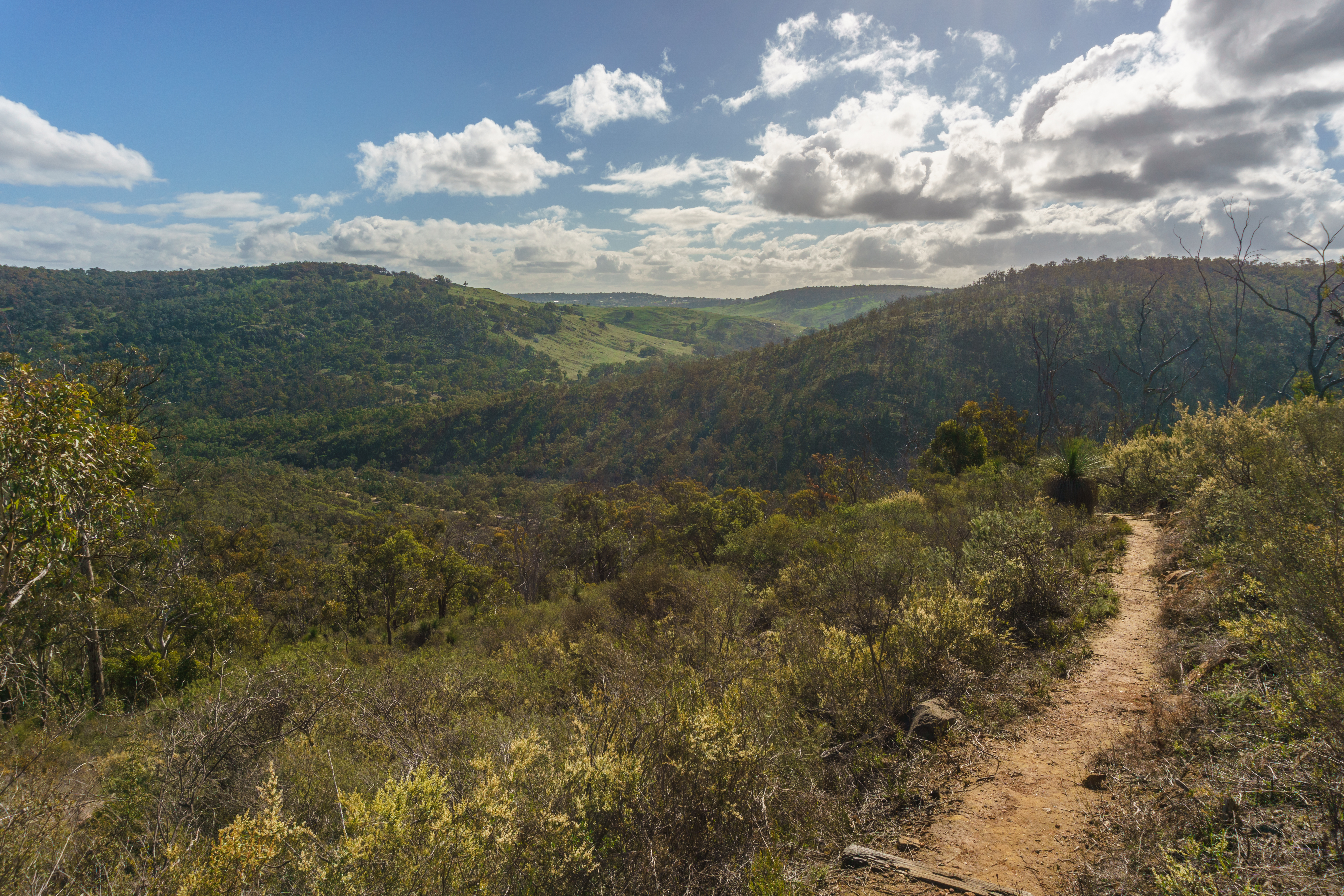 An image depicting the trail Avon Valley National Park and its surrounding area.