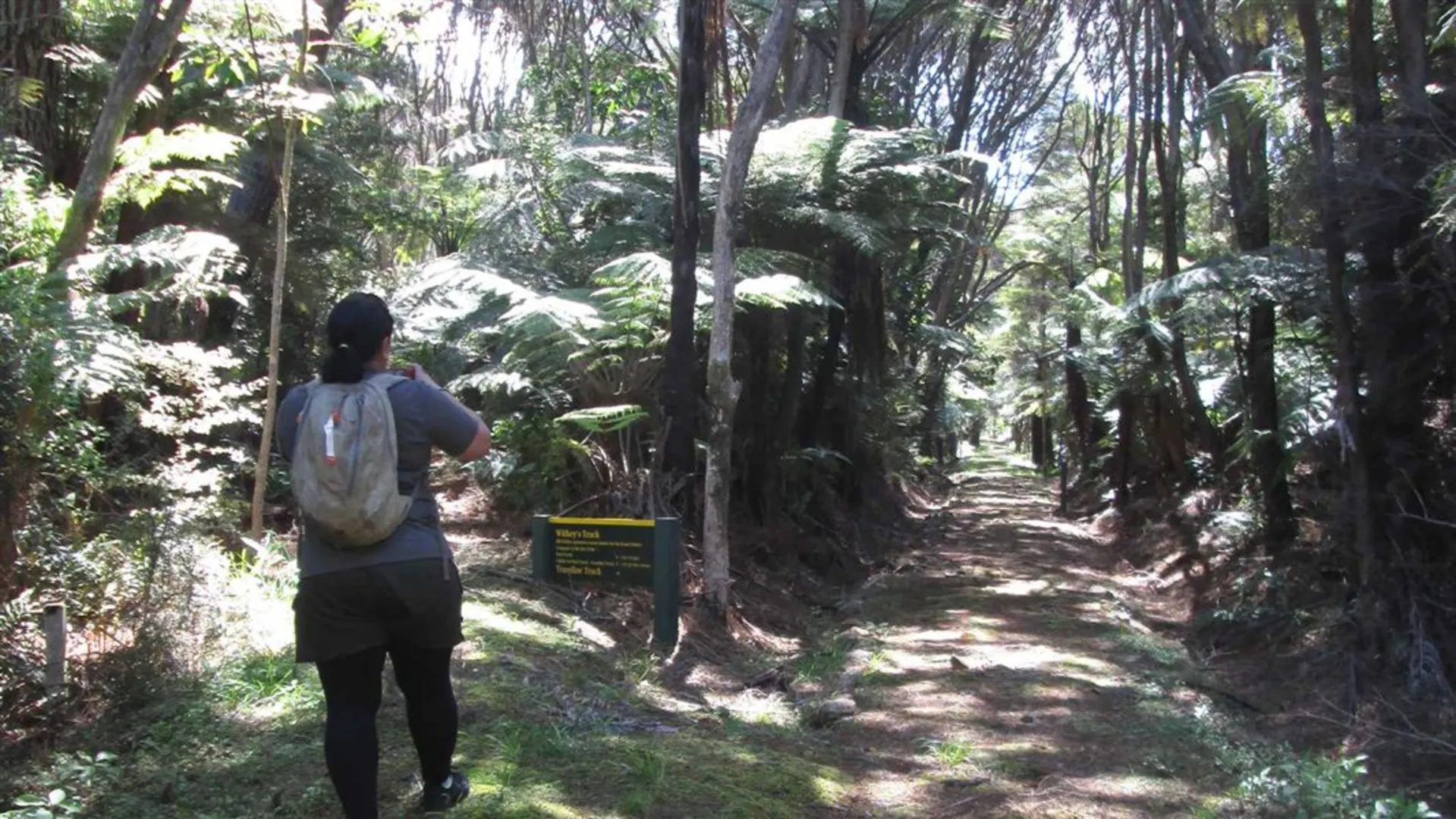 An image depicting the trail Tramline Track and its surrounding area.