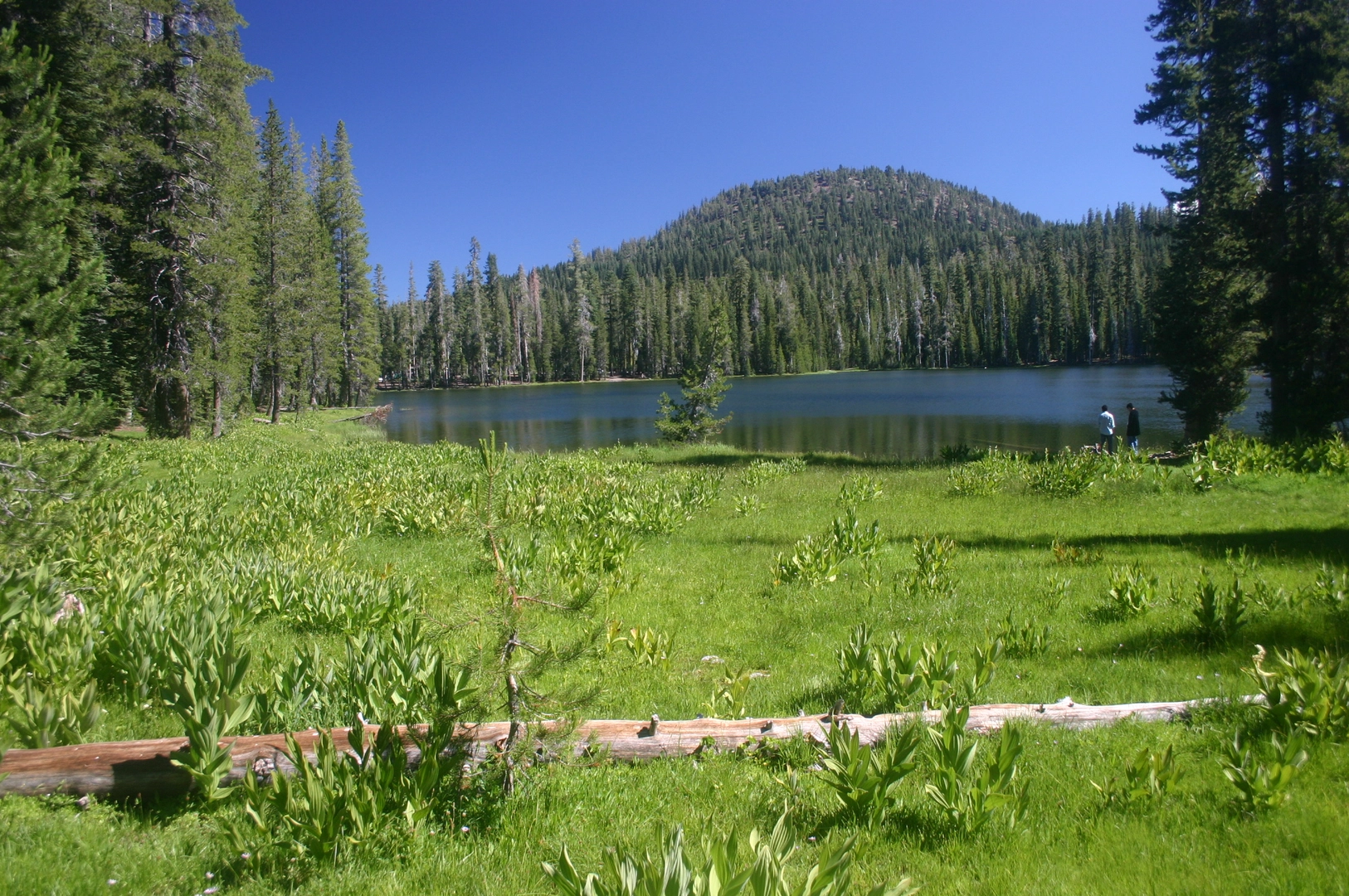 An image depicting the trail Summit Lake - Echo Lake - Upper and Lower Twin Lakes and its surrounding area.