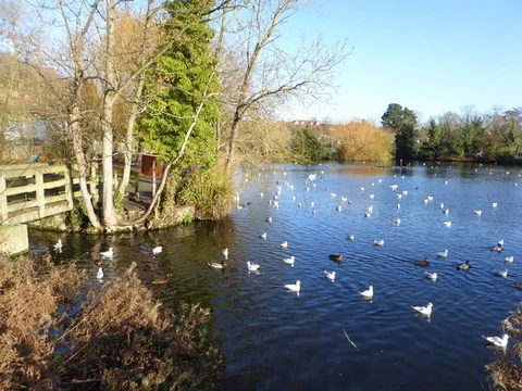Faversham Loop