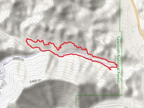 Lane's Loop Trail