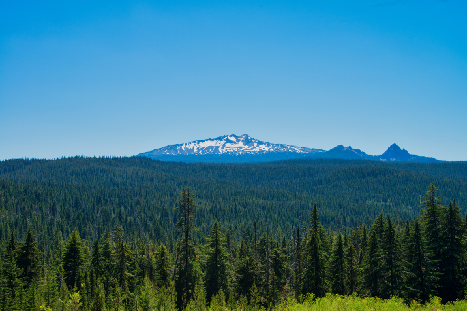 An image depicting the trail Snell Lake Trail and its surrounding area.