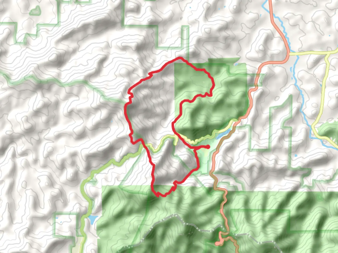 An image depicting the trail Coosa Backcountry and Wildcat Knob Loop and its surrounding area.
