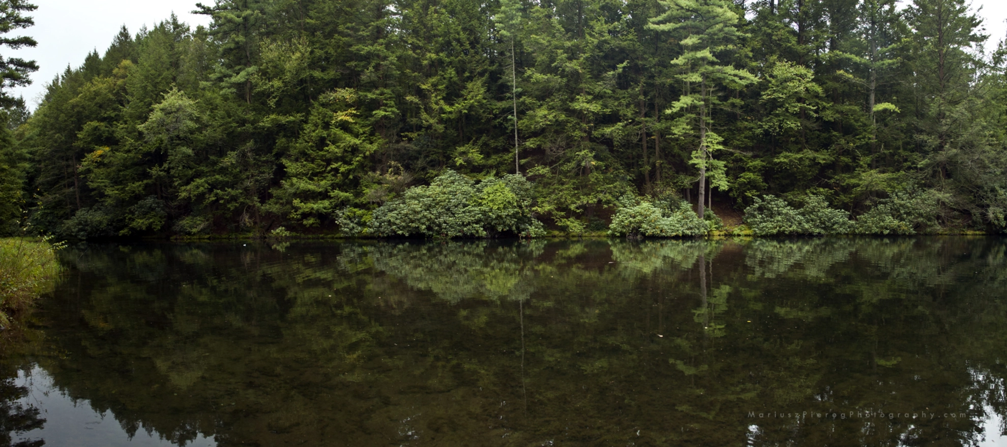 Sand Spring Run from Sand Spring Lake | Carbon County | Pennsylvania