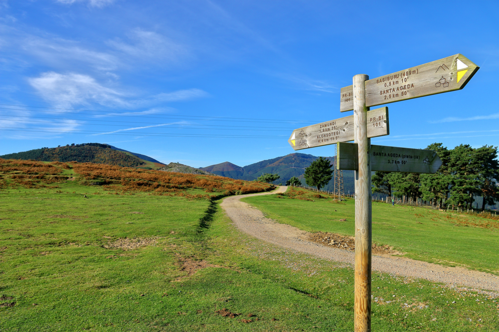 An image depicting the trail Peñas Blancas Route PR BI 101 and its surrounding area.